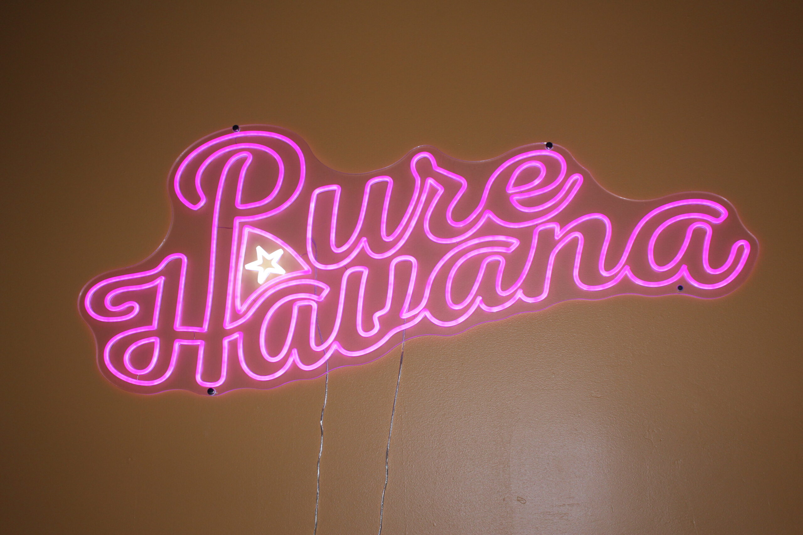 Pure Havana a Cuban salsa studio celebrate their one-year anniversary in Ottawa